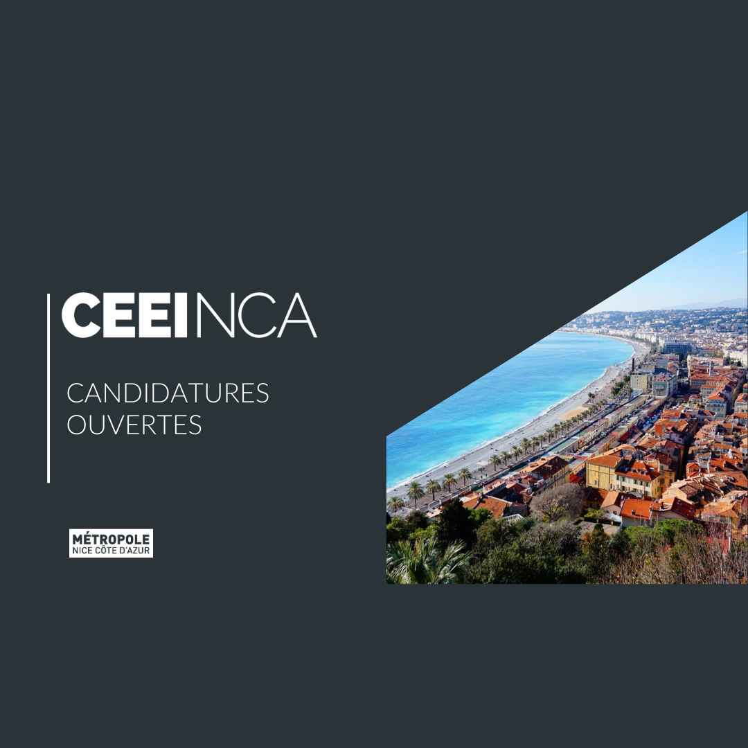 Candidatures pour intégrer le CEEI jusqu’au 31 mars