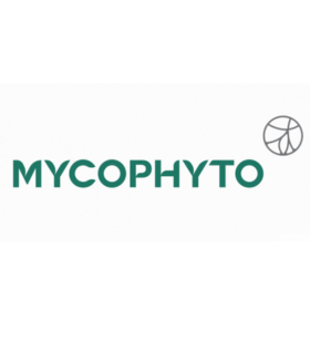 Design sans titre 2026 01 30T151611.945