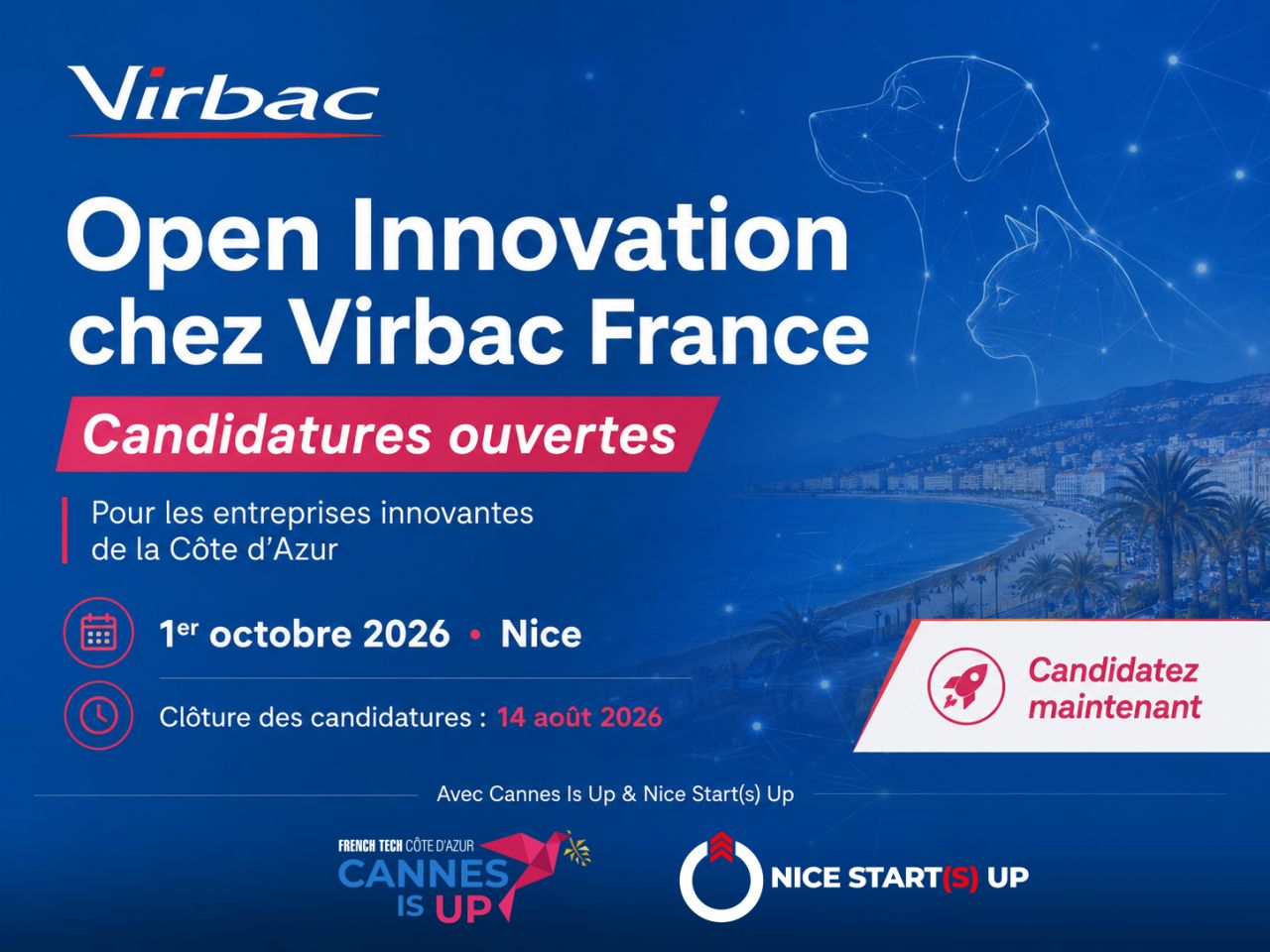 Open Innovation Virbac France jusqu’au 14 août